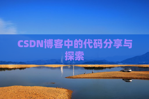 CSDN博客中的代码分享与探索